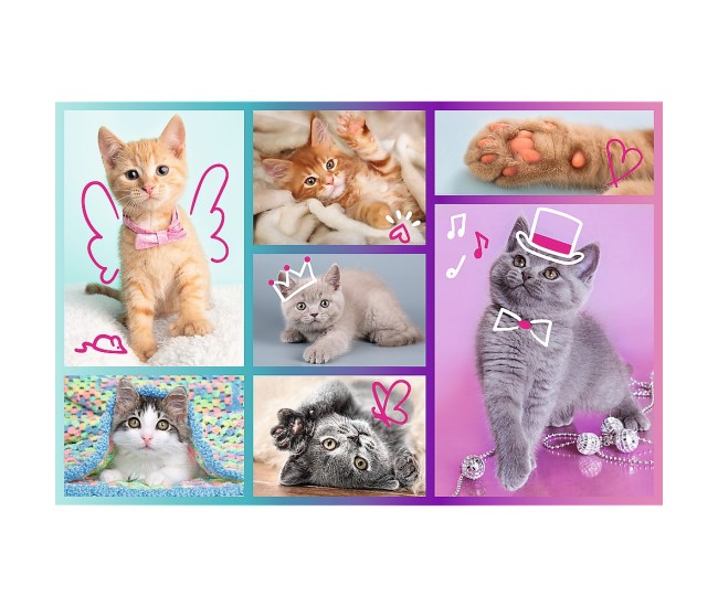 Puzzle trefl 60 pisicute dragute Puzzle trefl 60 pisicute dragute
