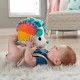 Fisher price ariciul cu activitati senzoriale Fisher price ariciul cu activitati senzoriale