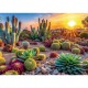 Puzzle trefl 1000 colectia sua flori de desert poster inclus Puzzle trefl 1000 colectia sua flori de desert poster inclus