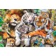 Puzzle trefl din lemn 500+1 piese felinele din jungla Puzzle trefl din lemn 500+1 piese felinele din jungla