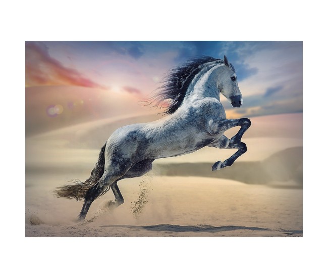 Puzzle trefl 1000 calul maiestuos Puzzle trefl 1000 calul maiestuos