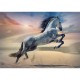 Puzzle trefl 1000 calul maiestuos Puzzle trefl 1000 calul maiestuos