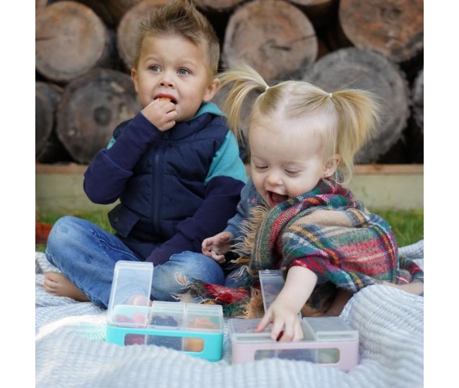 Cutie snack 3 compartimente, melii, pine green