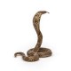 Papo figurina sarpe cobra Papo figurina sarpe cobra