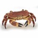 Papo figurina crab Papo figurina crab