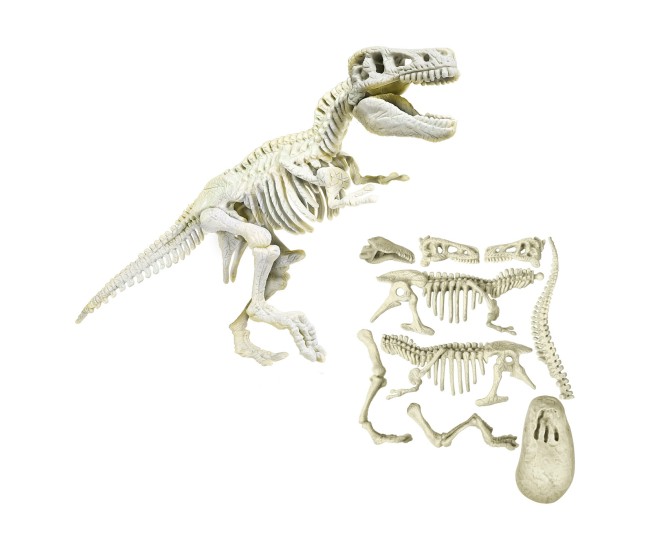 Descopera dinozaurul t-rex Descopera dinozaurul t-rex