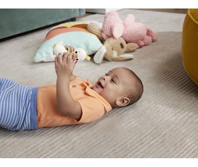 Fisher price jucarie zornaitoare gasca