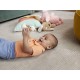 Fisher price jucarie zornaitoare gasca