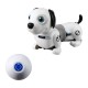 Robot electronic catel dackel junior Robot electronic catel dackel junior