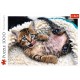 Puzzle trefl 1000 pisicuta vesela Puzzle trefl 1000 pisicuta vesela