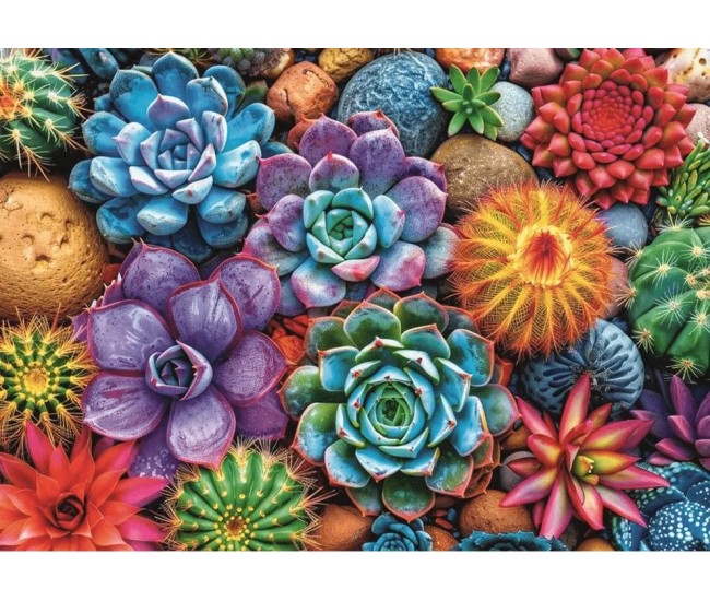 Puzzle trefl 1000 suculente colorate cu poster inclus Puzzle trefl 1000 suculente colorate cu poster inclus