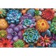 Puzzle trefl 1000 suculente colorate cu poster inclus Puzzle trefl 1000 suculente colorate cu poster inclus