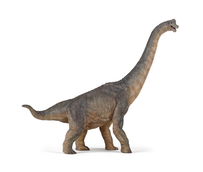 Papo figurina dinozaur brachiosaurus Papo figurina dinozaur brachiosaurus