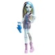Monster high papusa frankie stein Monster high papusa frankie stein