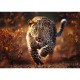 Puzzle trefl 1000 premium plus photo odyssey leopard Puzzle trefl 1000 premium plus photo odyssey leopard