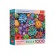 Puzzle trefl 1000 suculente colorate cu poster inclus Puzzle trefl 1000 suculente colorate cu poster inclus