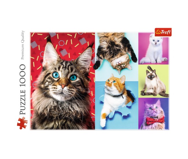 Puzzle trefl 1000 pisicute fericite Puzzle trefl 1000 pisicute fericite