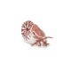 Papo figurina nautilus Papo figurina nautilus
