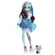 Monster high papusa frankie stein cu animalut si accesorii Monster high papusa frankie stein cu animalut si accesorii
