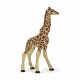 Papo figurina pui girafa Papo figurina pui girafa