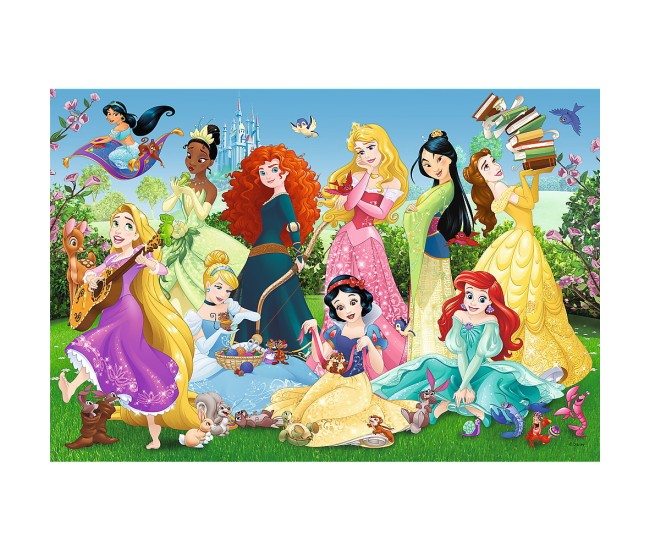 Puzzle 100 printesele sarmante Puzzle 100 printesele sarmante