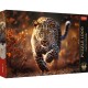 Puzzle trefl 1000 premium plus photo odyssey leopard Puzzle trefl 1000 premium plus photo odyssey leopard
