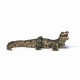 Papo figurina pui de crocodil Papo figurina pui de crocodil