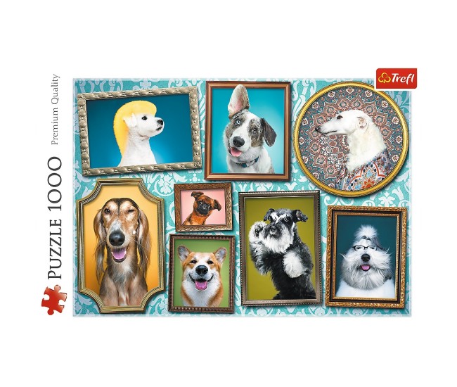 Puzzle trefl 1000 galeria cateilor Puzzle trefl 1000 galeria cateilor