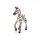 Papo figurina pui de zebra Papo figurina pui de zebra