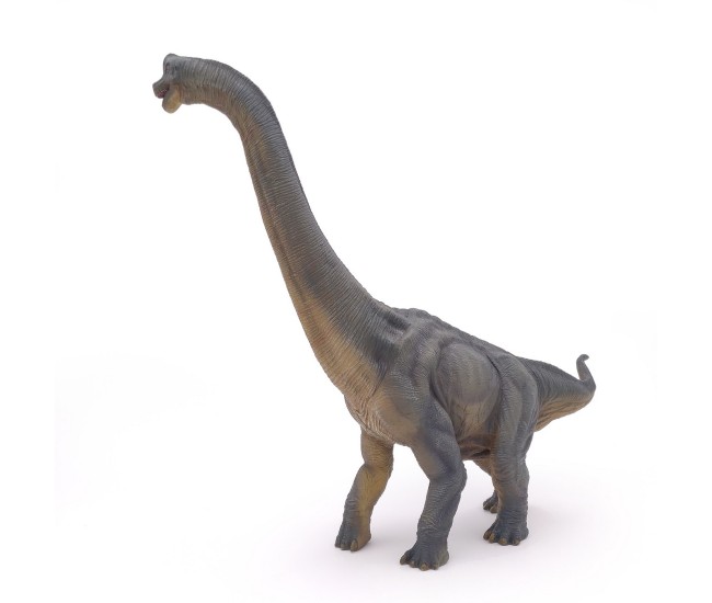 Papo figurina dinozaur brachiosaurus Papo figurina dinozaur brachiosaurus