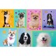 Puzzle trefl 100 in lumea cateilor Puzzle trefl 100 in lumea cateilor