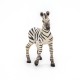 Papo figurina pui de zebra Papo figurina pui de zebra