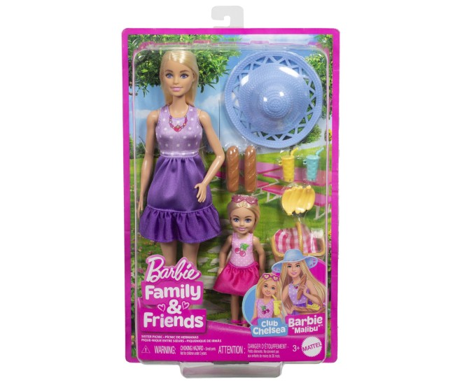 Barbie family and friends set papusa barbie si papusa chelsea