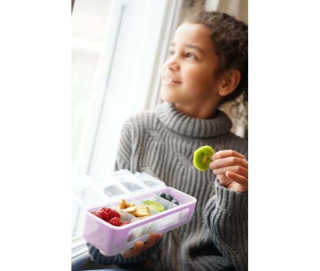 Cutie snack 4 compartimente, melii, berry