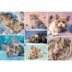 Puzzle trefl 100 in lumea pisicilor Puzzle trefl 100 in lumea pisicilor
