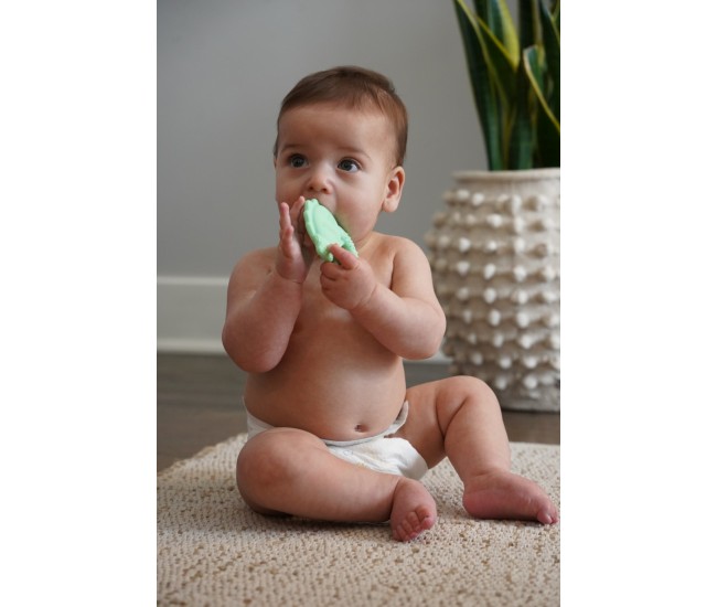 Set 2 jucarii dentitie silicon melii model dino + rechin Set 2 jucarii dentitie silicon melii model dino + rechin