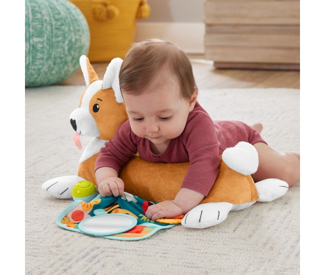 Fisher price catelus 3 in 1 tummy wedge Fisher price catelus 3 in 1 tummy wedge