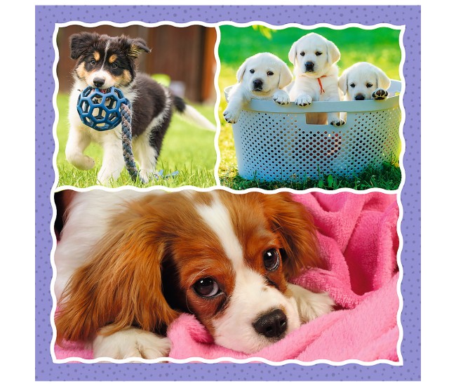 Puzzle trefl 3in1 catelusii adorabili Puzzle trefl 3in1 catelusii adorabili