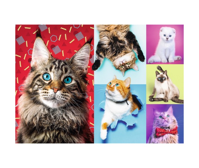 Puzzle trefl 1000 pisicute fericite Puzzle trefl 1000 pisicute fericite