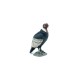 Papo figurina condor Papo figurina condor