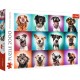 Puzzle trefl 2000 catelusii amuzanti Puzzle trefl 2000 catelusii amuzanti