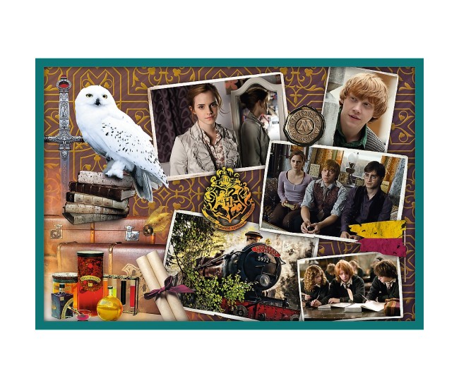 Puzzle trefl 10in1 harry potter in lumea lui harry potter Puzzle trefl 10in1 harry potter in lumea lui harry potter