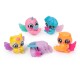 Hatchimals alive neon rainbow set cosulet de oua Hatchimals alive neon rainbow set cosulet de oua