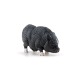 Papo figurina porc vietnamez