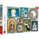 Puzzle trefl 1000 galeria cateilor Puzzle trefl 1000 galeria cateilor