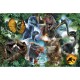 Puzzle trefl 300 jurrasic world dinozaurii favoriti Puzzle trefl 300 jurrasic world dinozaurii favoriti