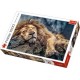 Puzzle trefl 1000 leu dormind Puzzle trefl 1000 leu dormind