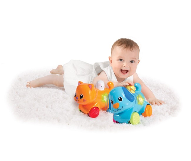 Winfun catelus interactiv