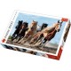 Puzzle trefl 1000 cai la galop Puzzle trefl 1000 cai la galop