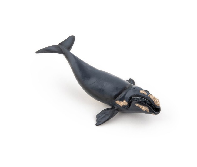 Papo figurina balena Papo figurina balena